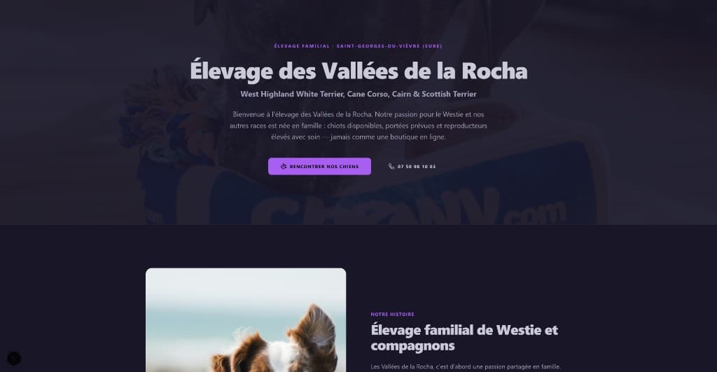 Page d'accueil — hero, races et appel à l'action